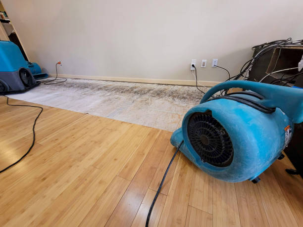 Reliable Crawl Space Water Removal contractor in Rockland, ME by Hirex Water Damage
