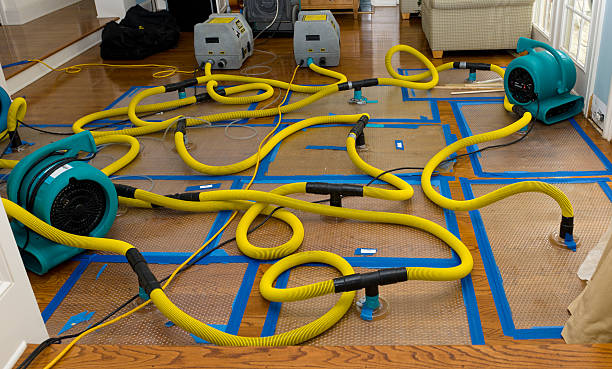 Professional Crawl Space Water Removal technician working in Rockland, ME